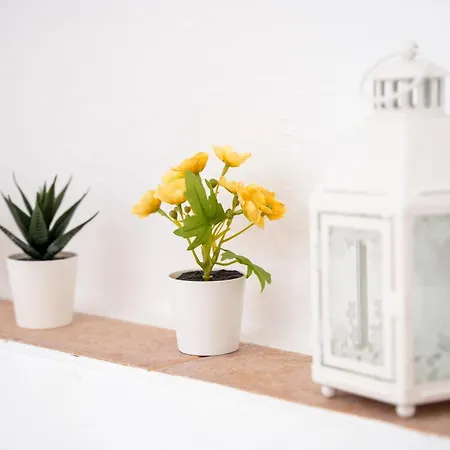 Casa Alina, Old Town With Garage Nyaraló