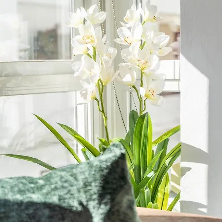 Vakantiehuis Casa Alina, Old Town With Garage Marbella