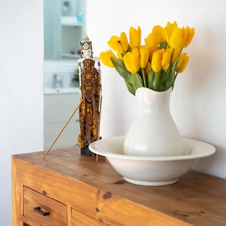 Casa Alina, Old Town With Garage Vakantiehuis *